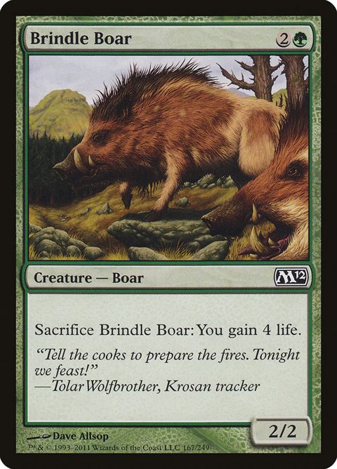 167-brindleboar
