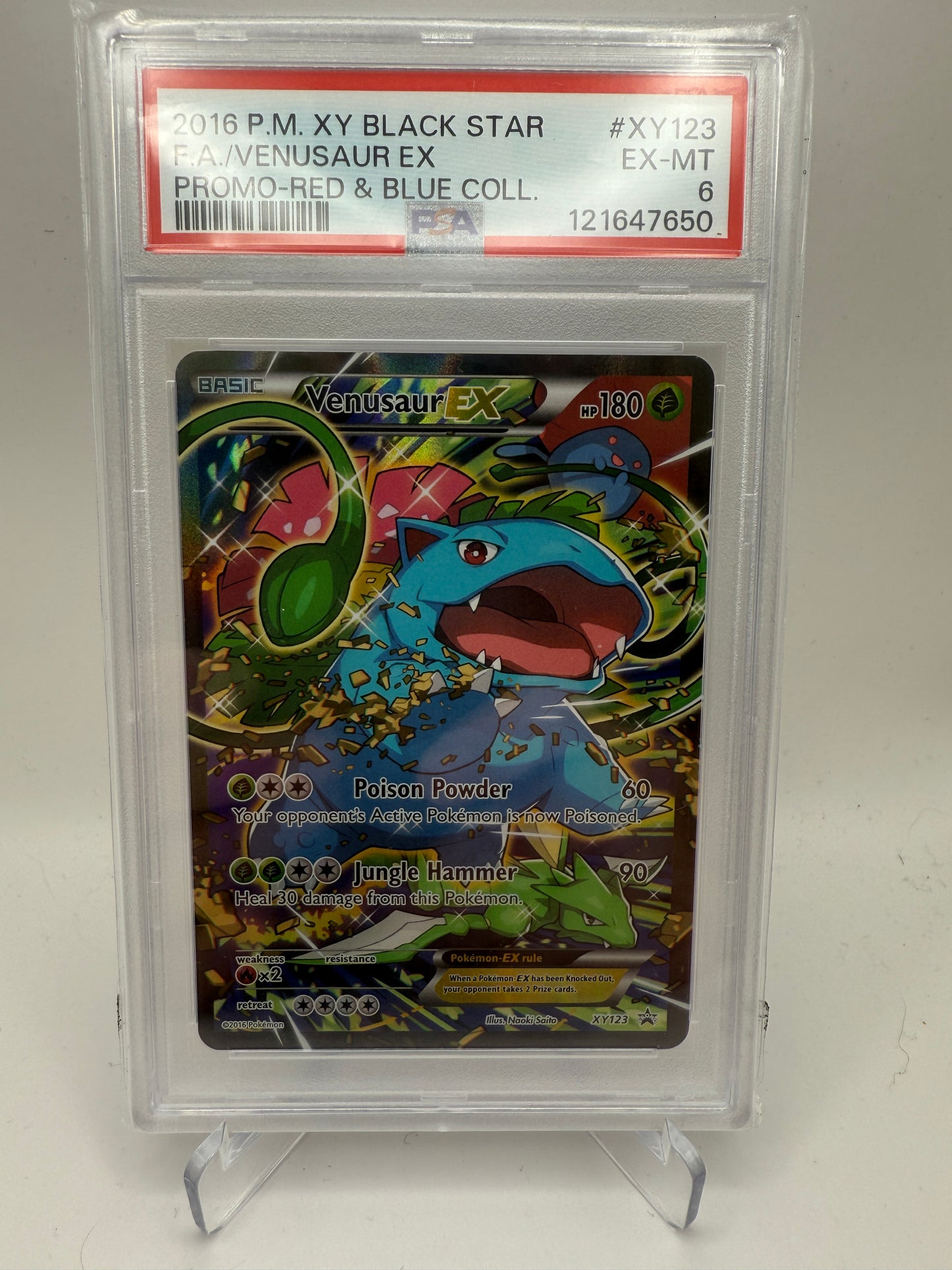 PSA 6 Excellent/Mint - Venusaur Ex #XY123 Pokemon Red & Blue Collection - Graded