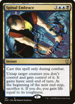 101-spinalembrace