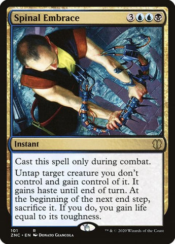 101-spinalembrace