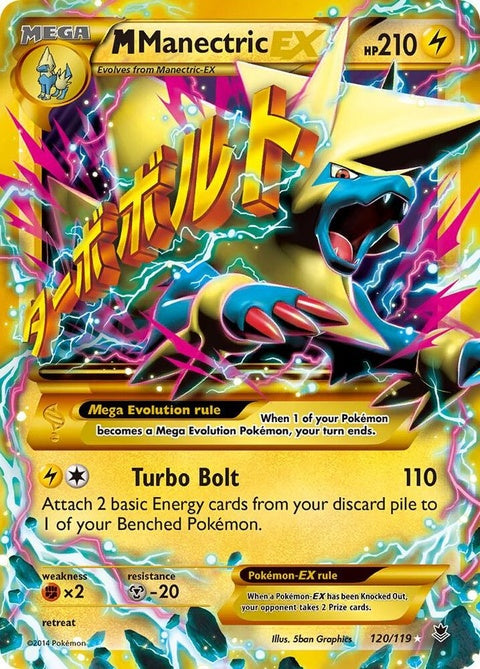 120-mmanectricex-secretrare