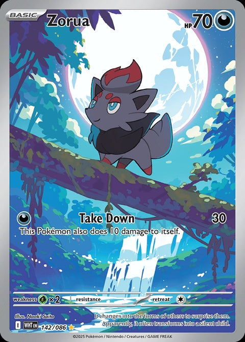 142-zorua