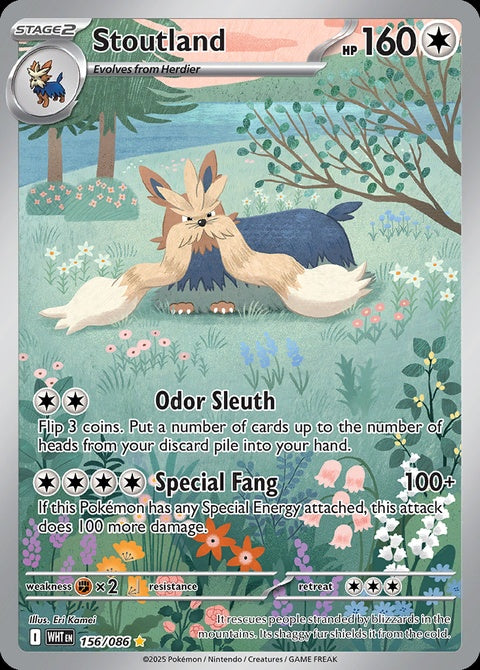 156-stoutland