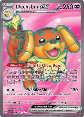 160-dachsbunex