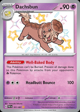 161-dachsbun