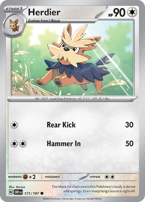 171-herdier