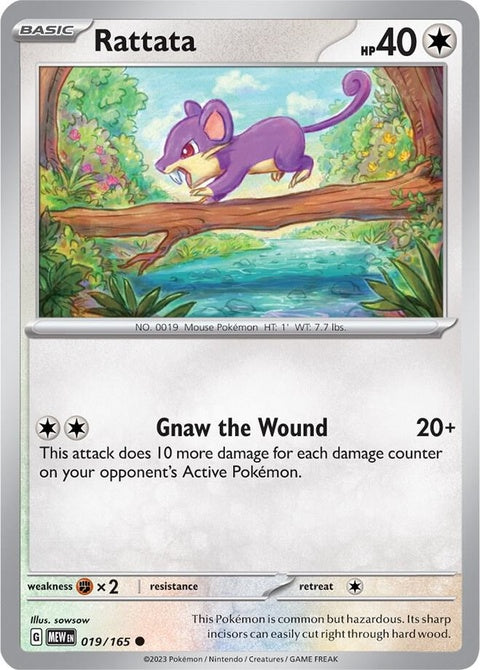 19-rattata