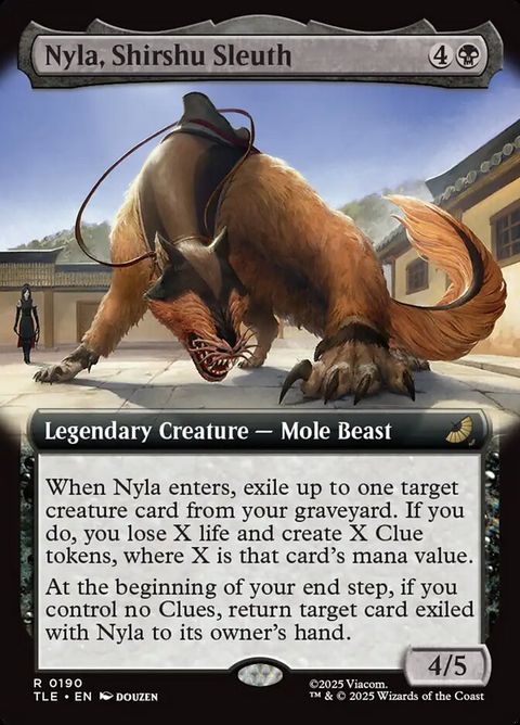 190-nylashirshusleuth