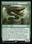 192-omnivorousflytrap