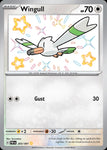 203-wingull