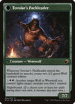 204-tovolarshuntmastertovolarspackleader
