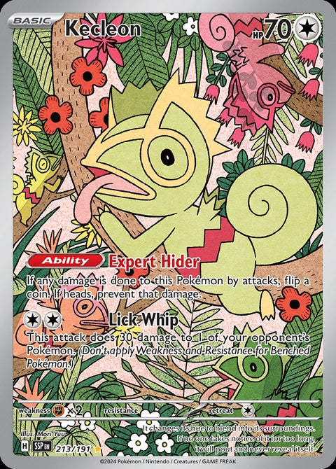 213-kecleon
