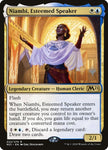 222p-niambiesteemedspeaker