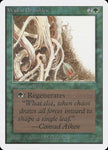 224-wallofbrambles