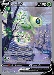 245-celebiv