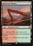 248-shelteredthicket