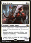 25-siegeveteran