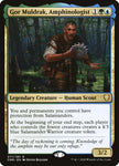 277-gormuldrakamphinologist