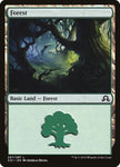 297-forest