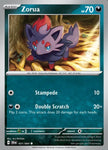 31-zorua