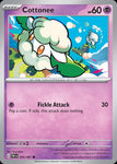 34-cottonee