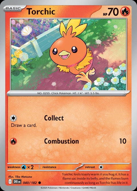 40-torchic