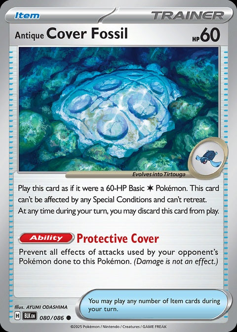 60-antiquecoverfossil