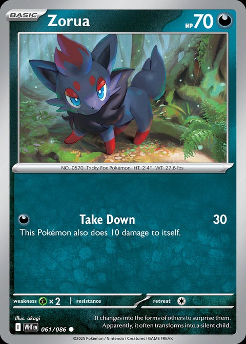 61-zorua