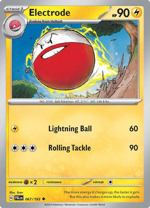 67-electrode