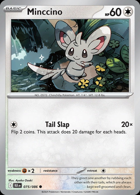 75-minccino