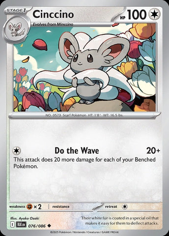 76-cinccino