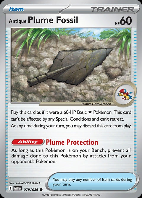 79-antiqueplumefossil