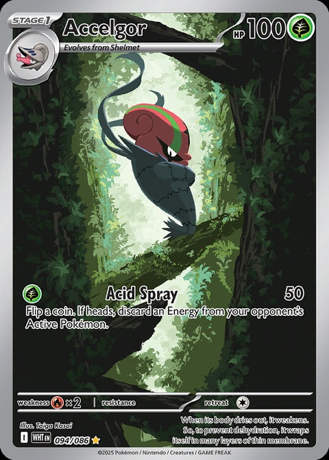 94-accelgor
