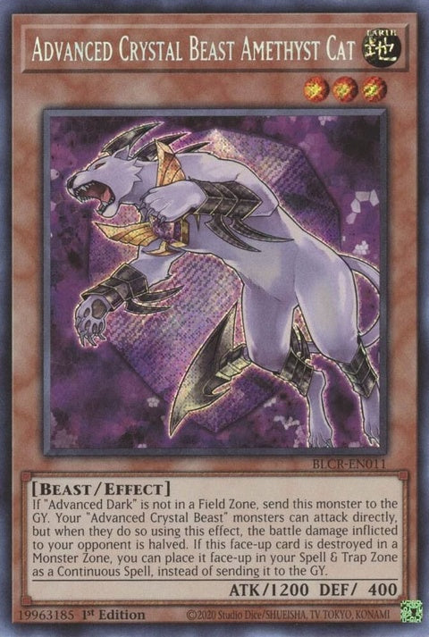 blcr-en011-advancedcrystalbeastamethystcat