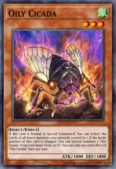 blcr-en027-oilycicada