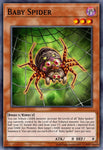blmr-en045-babyspider