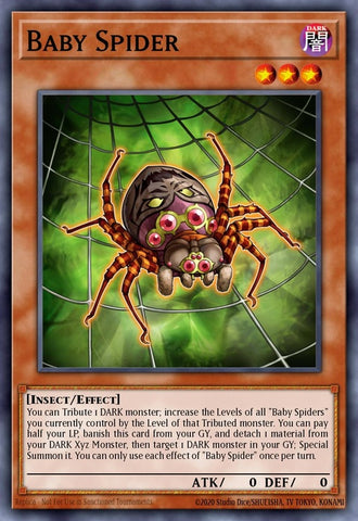 blmr-en045-babyspider