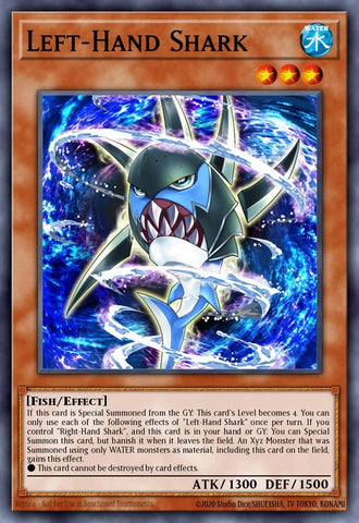brol-en049-lefthandshark