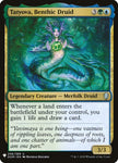 DOM-206-tatyovabenthicdruid