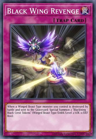 drlg-en031-blackwingrevenge