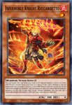 dune-en013-infernobleknightricciardetto
