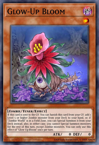 gfp2-en115-glowupbloom