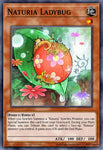 ha04-en020-naturialadybug