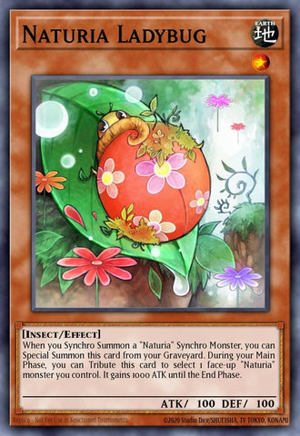 ha04-en020-naturialadybug