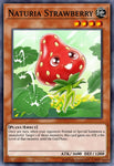 ha04-en021-naturiastrawberry