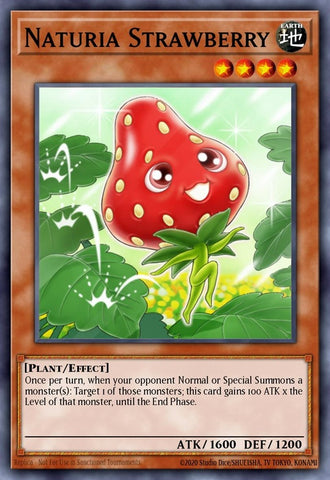 ha04-en021-naturiastrawberry