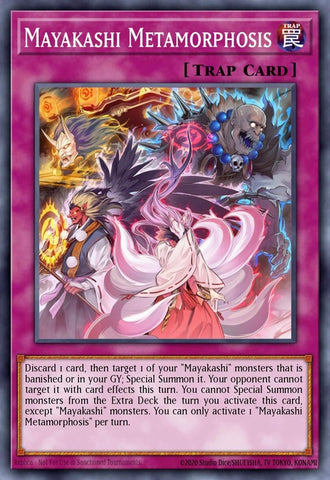 hisu-en039-mayakashimetamorphosis
