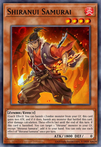 hisu-en049-shiranuisamurai