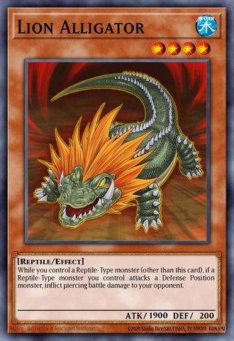 lc02-en008-lionalligator