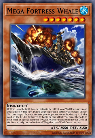 led9-en016-megafortresswhale